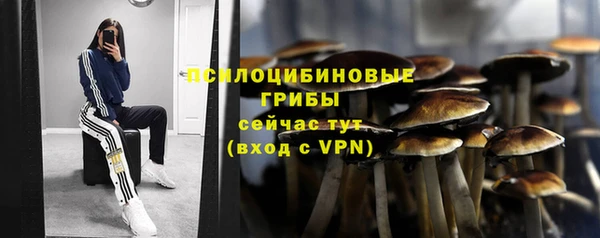 mix Аркадак