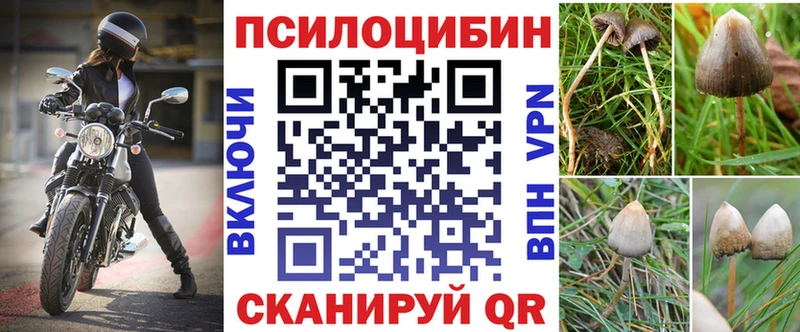 Псилоцибиновые грибы MAGIC MUSHROOMS  Енисейск 